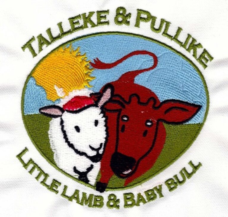 Tikandi näide